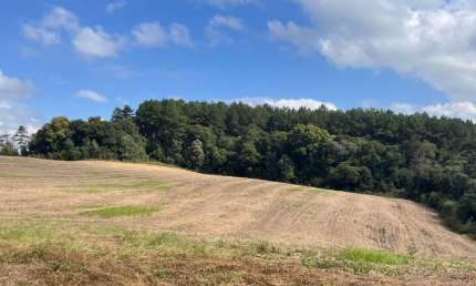 Terreno com 10, 65 alqueires - Ótimo para plantio - Lençol - São Bento do Sul - S.C.