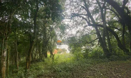 Chácara com 5 dormitórios à venda, 24200 m² por R$ 990.000,00 - Ribeirão Barragem - Campina Grande do Sul/PR