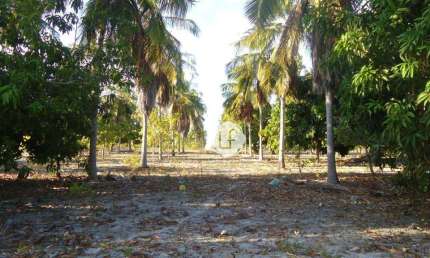 Terreno à venda na Ce-040, Sucatinga, Beberibe