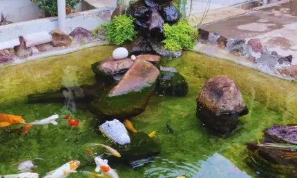 Espetacular casa comercial para venda em jardim nova aparecida, 400m²