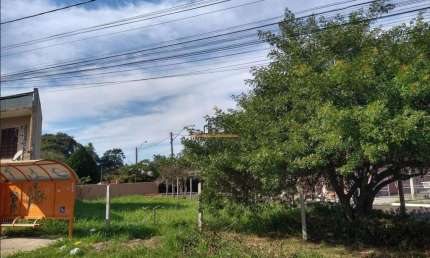 Terreno comercial para alugar no Harmonia, Canoas 