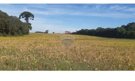 Terreno comercial à venda na Rua Arcidio Claudino Barbosa, s/nr, Campo Largo da Roseira, São José dos Pinhais