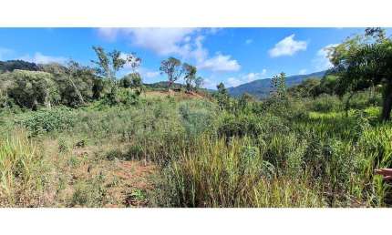 Chácara 31116 m² em Campo Largo, PR com Rio passando nos fundos!