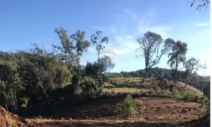 Chácara 31116 m² em campo largo / pr - estrada morro do cal e com rio passando nos fundos!
