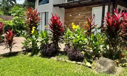 Chácara / sítio à venda na Estra Estrada da America de Cima, 9, América de Cima, Morretes, 170 m2 por R$ 990.000