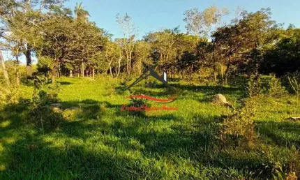 Terreno com 11.250m² para venda no bairro são luiz em ribeirão das neves/mg.