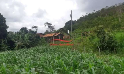 Fazenda para venda - 15 hectares - senador mourão, diamantina/mg