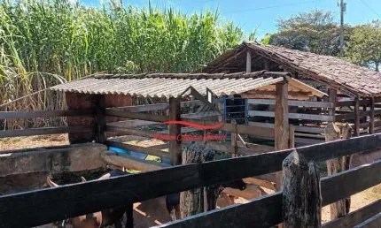 Fazenda à venda, 2 quartos, capão pinheiro - diamantina/mg