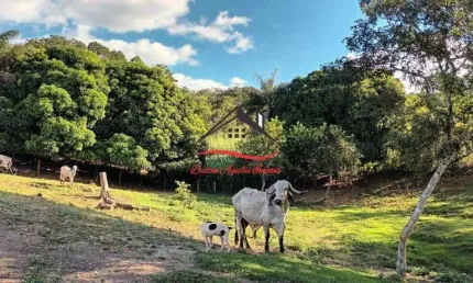 Fazenda para venda - 110 hectares - senador mourão (diamantina)/mg