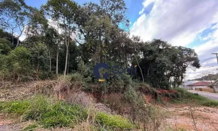 Terreno à venda, 440 m² por r$ 185.000 - vila mandirituba - mandirituba/pr