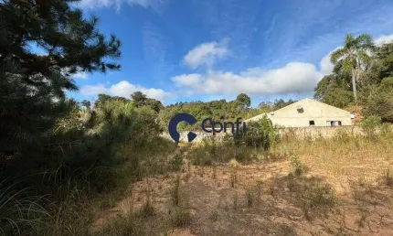 Terreno à venda, 800 m² por r$ 120.000 - vila queimados - mandirituba/pr