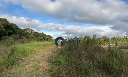 Terreno à venda, 3630 m² por r$ 650.000,00 - areia branca dos assis  - mandirituba/pr