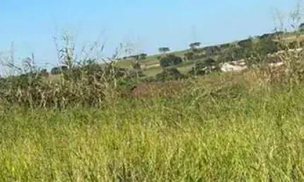 Terreno à venda, 200 m² por R$ 120.000,00 - Maisparque Rio Preto - São José do Rio Preto/SP