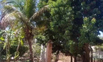 Chácara com 3 dormitórios à venda, 1000 m² por R$ 550.000,00 - Estância São Carlos - Guapiaçu/SP