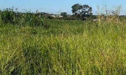 Terreno à venda, 200 m² por R$ 120.000,00 - Maisparque Rio Preto - São José do Rio Preto/SP