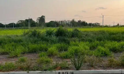 Terreno à venda, 405 m² por r$ 590.000 - botanic residence - são josé do rio preto/sp