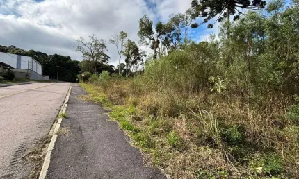 Terreno à venda, Jardim Mata Verde, Mandirituba, PR