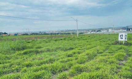 Terreno à venda, 300 m² por R$ 270.000,00 - Jardim Dona Maria Azenha - Nova Odessa/SP