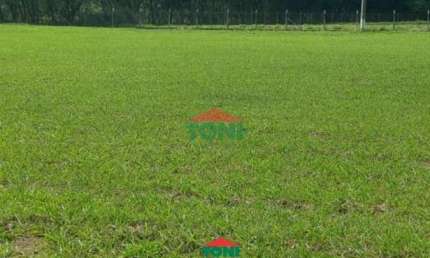 Terreno à venda no Condomínio Residencial Pinheiros do Lago, Alambari  por R$ 290.000
