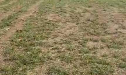 Terreno em Condomínio para Venda em São José dos Campos, Loteamento Fazenda Ronda