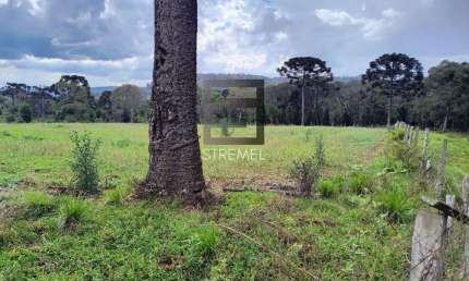 Terreno comercial à venda na Monte Alvão, Guará, Guarapuava