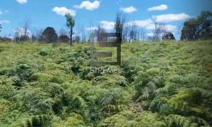 Área Rural para Venda em Guarapuava, Disrito de Entre Rios