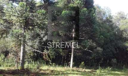 Terreno comercial à venda na Vila Jordão, Guarapuava 