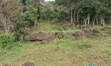 Terreno à venda na Estrada Geral da Ressacada, Ressacada, Garopaba por R$ 1.272.000