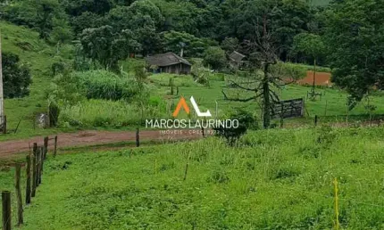 Sítio em Conjunto Habitacional Jamile Dequech, Londrina/PR