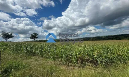 Chácara / sítio à venda na Área Rural de Uberaba, Uberaba 