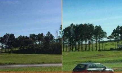 Terreno comercial para alugar na Rodovia Castelo Branco Res, Vila Artura, Sorocaba