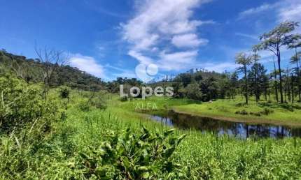 Fazenda à venda em Barbacena, Correia de Almeida, com 4 quartos, 53ha