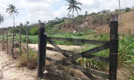 Sítio para Venda em Chã Grande, Zona Rural, 4 dormitórios, 1 suíte, 3 banheiros