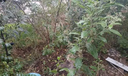 Terreno à venda na Avenida Santa Inês, 1805, Parque Mandaqui, São Paulo