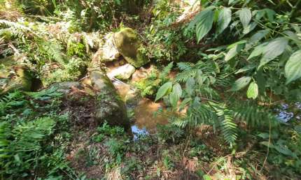 Terreno à venda na Rua da Canafístula, 467, Parque do Embu, Colombo
