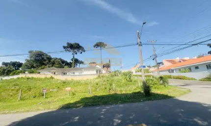 Terreno para Venda em São José dos Pinhais, Aristocrata