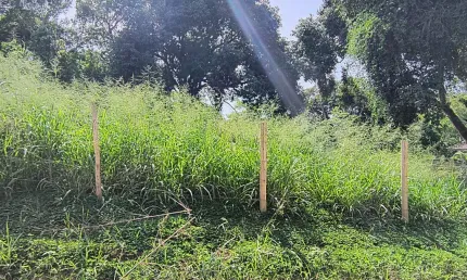 TERRENO 844,80M2  RUA SANTA CLARA BOMSUCESSO SAQUAREMA RJ