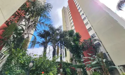 Apartamento com 2 quartos à venda na Rua Demerval da Fonseca, 81, Jardim Santa Terezinha, São Paulo
