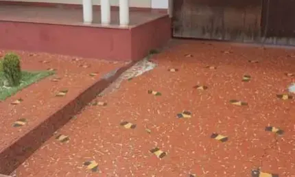 Casa com 3 quartos à venda na Vila Camilópolis, Santo André 