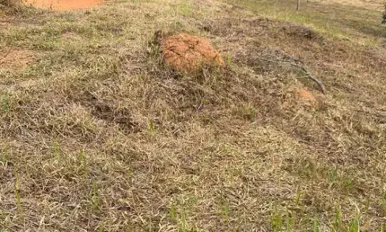 Terreno à venda, 800 m² por r$ 400.000 - reserva ibirapitanga - santa isabel/sp
