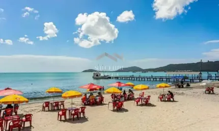 INVESTIDORES Apartamento para venda, a 50 m da praia,  Canasvieiras, Florianópolis - AP297