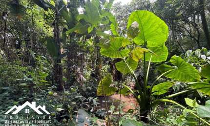 Terreno à venda na Área Rural, Dos Frades, Limeira