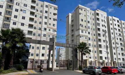 Apartamento com 2 quartos para alugar na Vila Rosa, Novo Hamburgo 