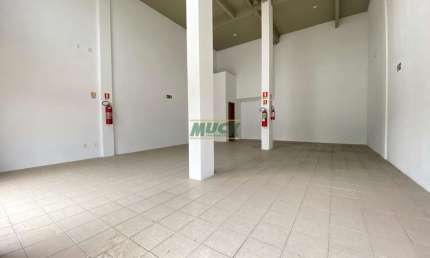 Apartamento para alugar no Rio Branco, Novo Hamburgo 