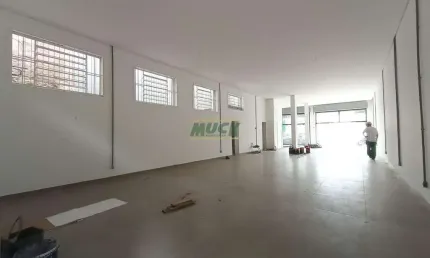 Apartamento para alugar no Guarani, Novo Hamburgo 
