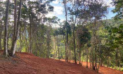 Refúgio na Serra — Terreno Exclusivo no Vale do Sol, Secretário