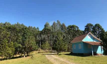 Chácara / sítio com 3 quartos à venda na Laranjeiras, 14000, Centro, Campo Alegre por R$ 1.500.000