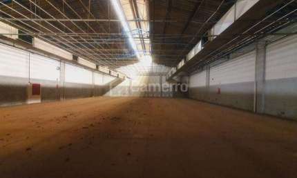 Galpão para alugar, 1000 m² por R$ 11.750,00/mês - Loteamento Industrial Nossa Senhora de Fátima -