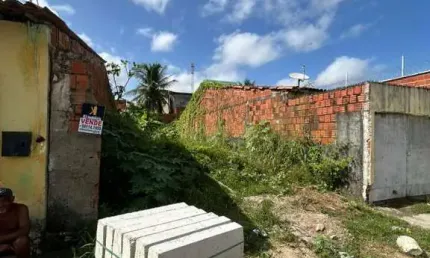 Terreno para Venda em Fortaleza, Conjunto Palmeiras