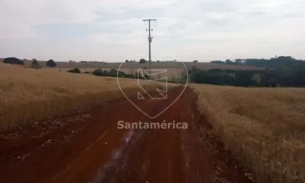 Terreno Para Alugar Em Londrina Região Leste De Londrina